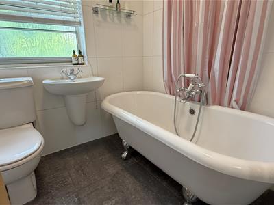 Picture 19